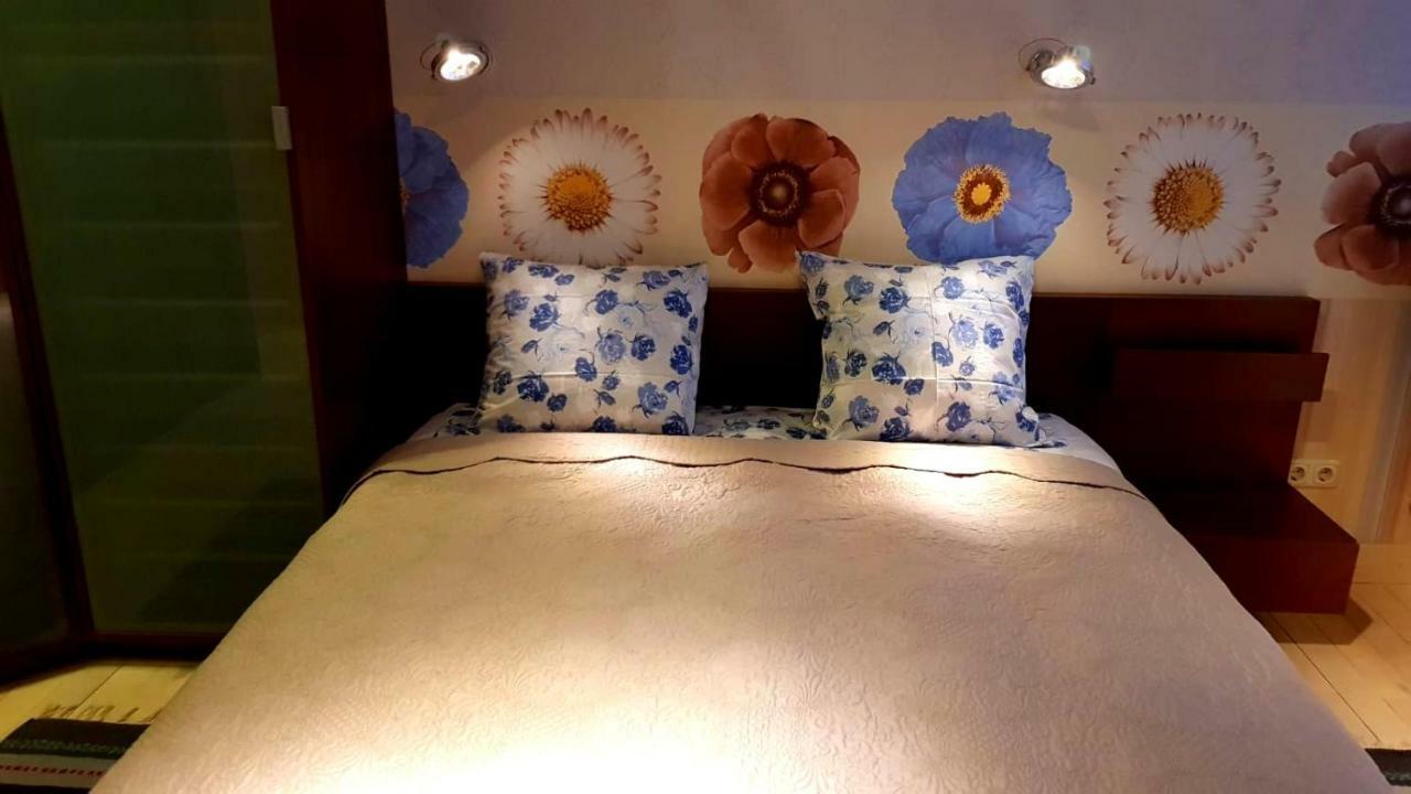 Fuksija House Διαμέρισμα Νταουγκαβπίλς Εξωτερικό φωτογραφία